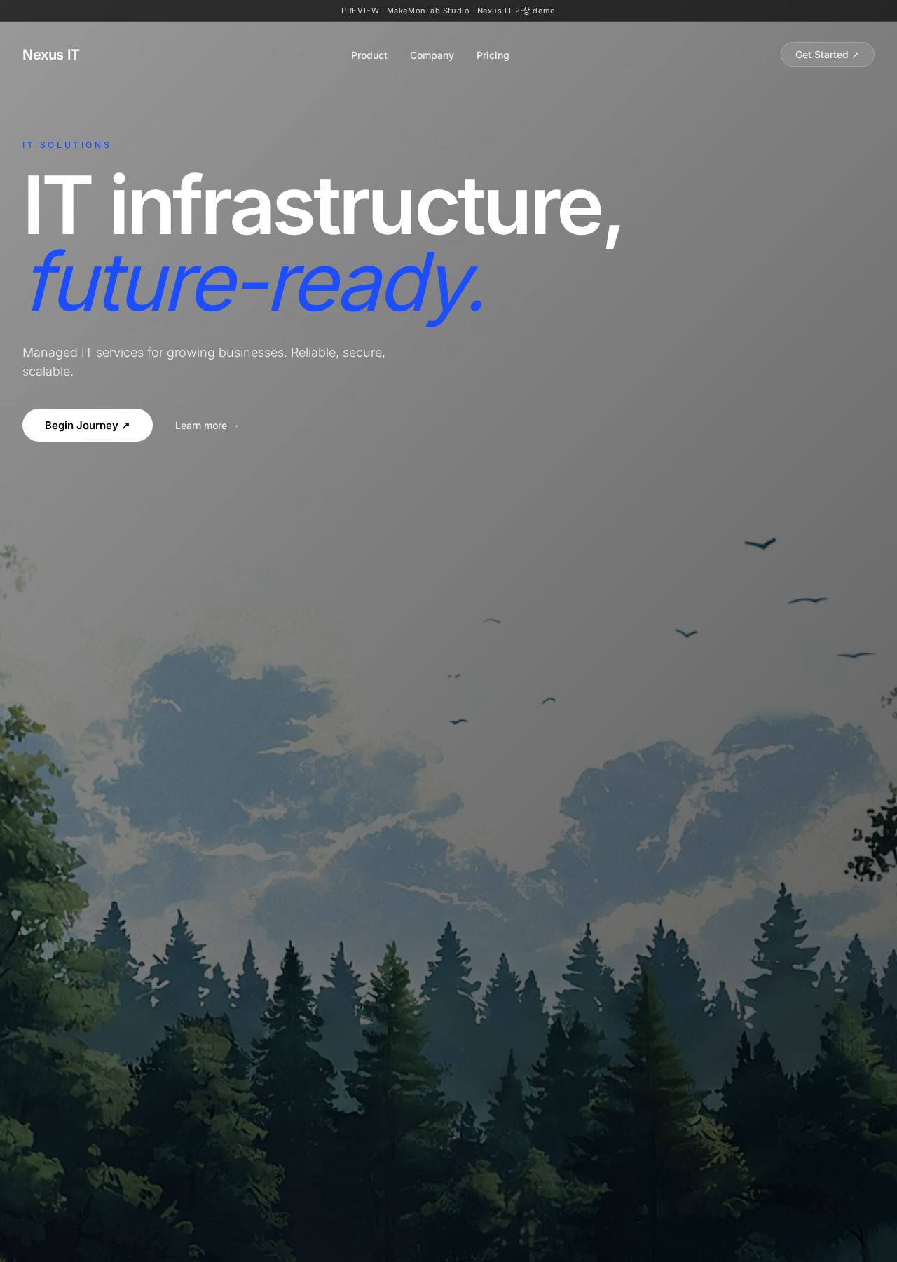 Nexus IT 데스크톱